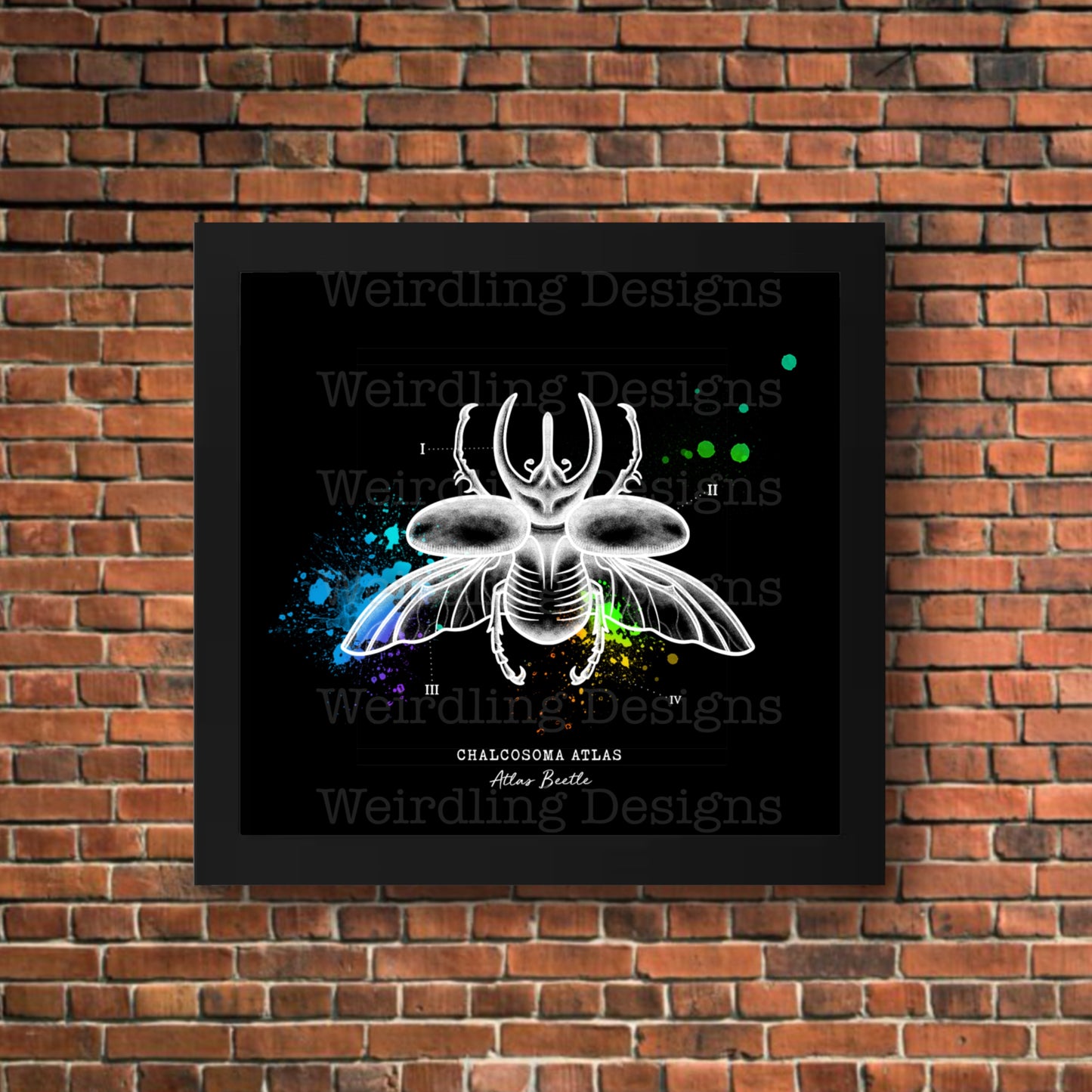 Chalcosoma Atlas - Illustration - Wall Art