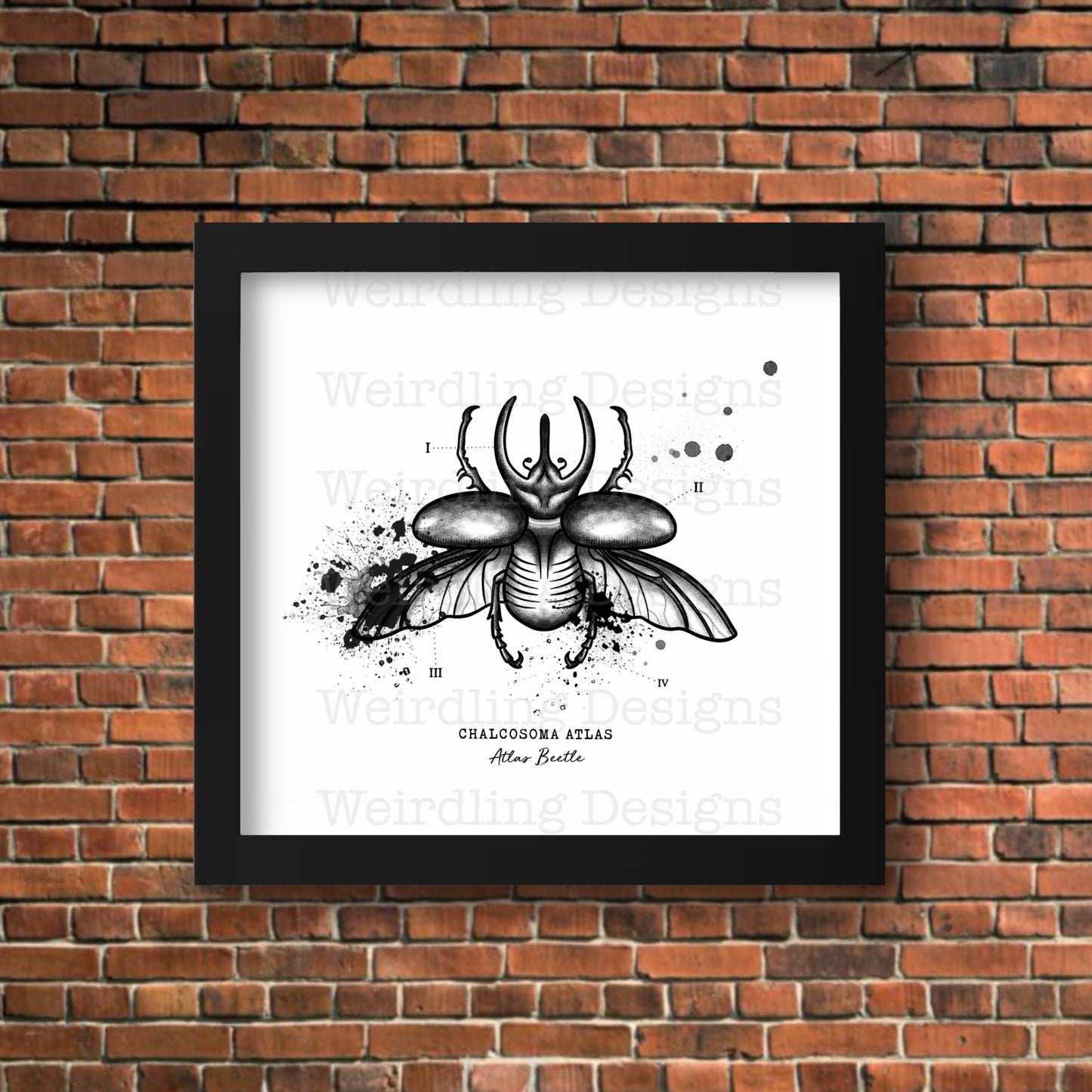 Chalcosoma Atlas - Illustration - Wall Art