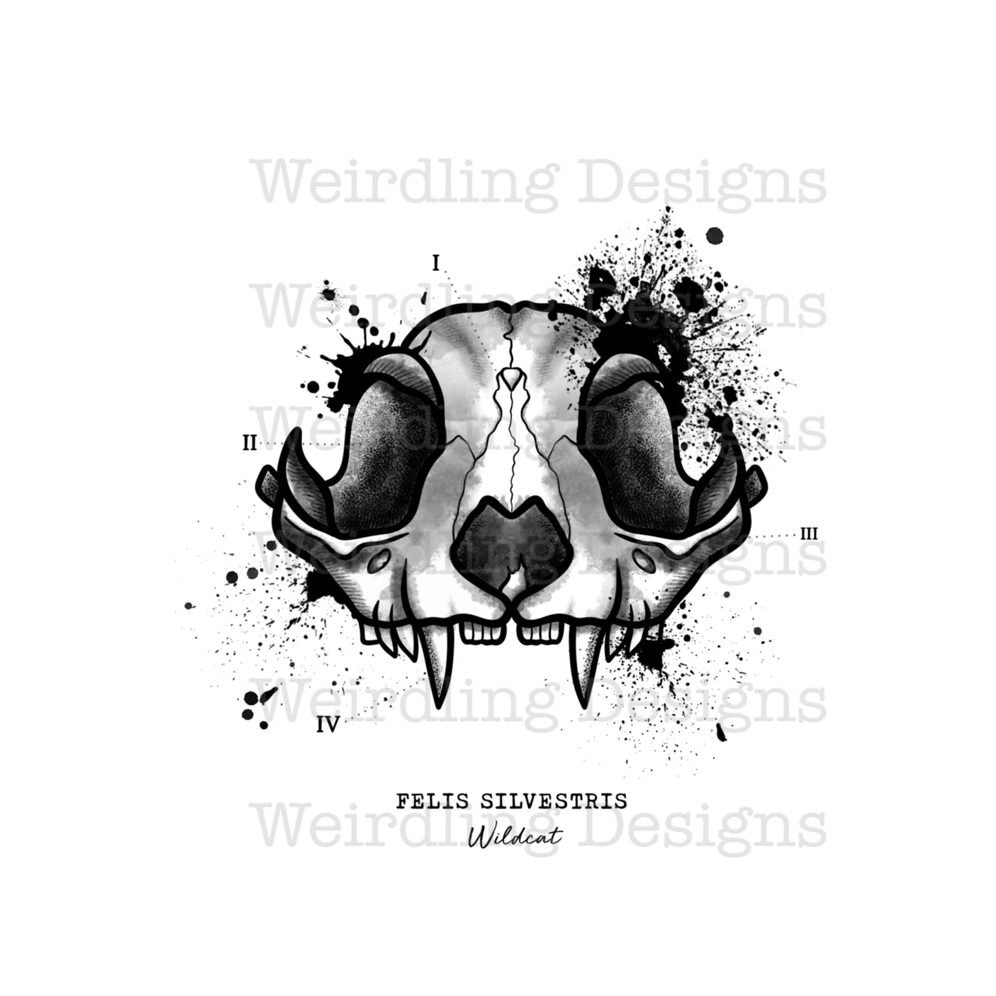 Felis Silvestris - Illustration - Wall Art