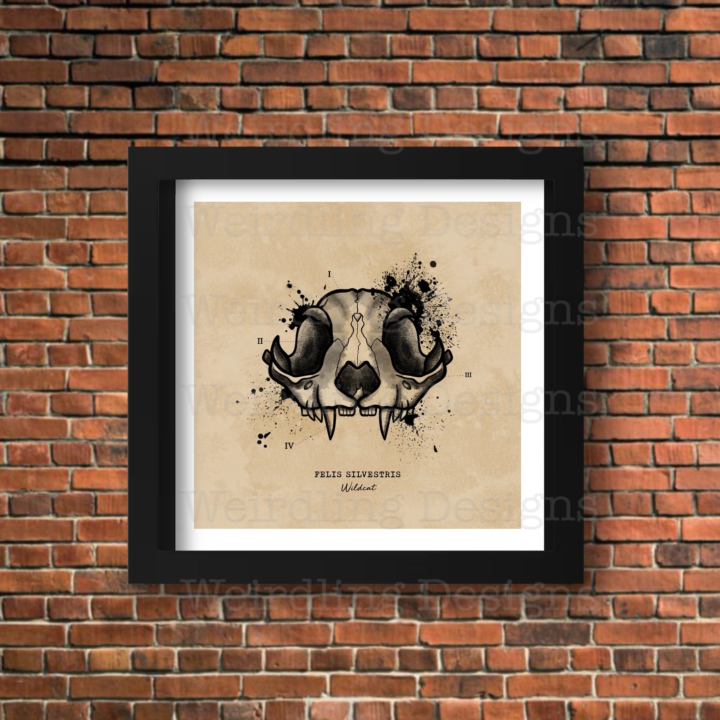 Felis Silvestris - Illustration - Wall Art